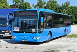 GS-SP 8031 StePo